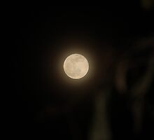 Blue Moon on New Years Eve.......... by DonnaMoore