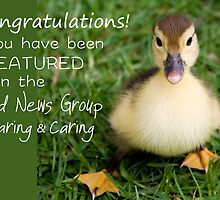 Feature Banner for the Good News Group ~Sharing and Caring by RebeccaDaisey