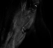 I watched you suffer a dull aching pain by T.O. Ang