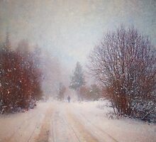 The Man in the Snowstorm by Tara Turner
