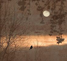 Bright Spot In The Gloom by digitalmidge