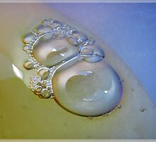 zygote by vampvamp