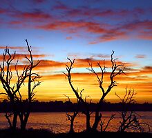 Yangebup Lake - Western Australia by EOS20