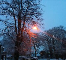 Winter by Anant Jain