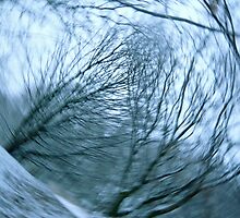 Wind Series III by Lena Weiss