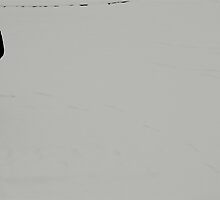Snow again.. by Tenee Attoh