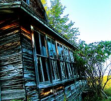 Wind Broke by Bob Fox