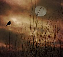 Lonely Marsh by digitalmidge