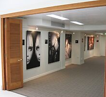 Entry Netanya Noosa Solo Exhibition by Warren Haney