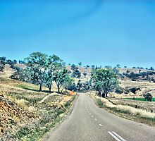 Road To Khancoban by Russell Burgess