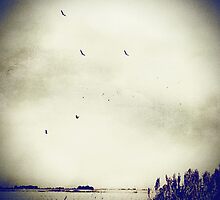 Bring Me Home by Trish Mistric