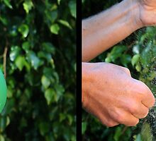 Don't Blink! (diptych) by Matt Rhodes
