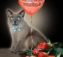 Will you be my Valentine..? by aura2000