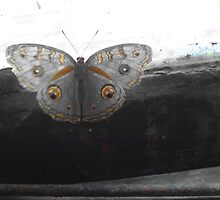 lonely by the window by TOUFIQ ALAM