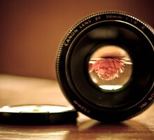 Lens through Lens by Lorraine Creagh