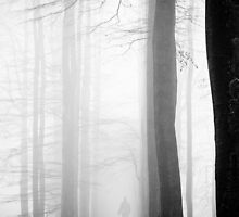Disappearing by Joop Snijder