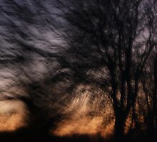 As I Dream by Carl Gaynor
