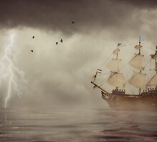 The calm before the storm by Louise Docker