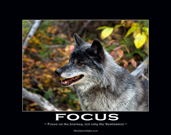 Wolf Motivational Posters