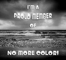 No More Color group challenge banner by Silvia Ganora