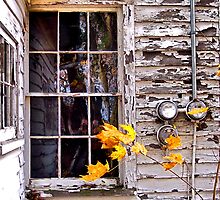 Autumn's Quiet Reflections by wiscbackroadz