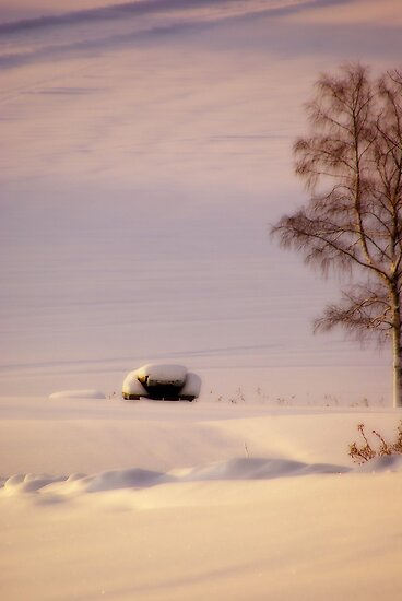February Morning #1 by MarianaEwa February Morning #1 by MarianaEwa