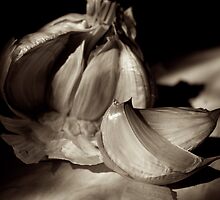 Head of garlic with cloves. by Dana Sibera