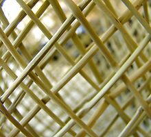 basket case by Jan Stead JEMproductions