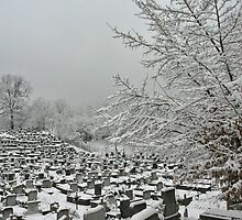 Winter Graveland by demigod