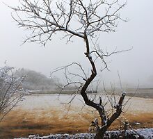 Stuck In A Rut by J J Everson