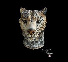 Snow Leopard by Alex Gardiner