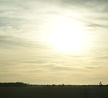 blinded by the light by Jan Stead JEMproductions