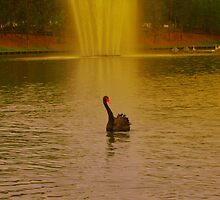 lady of the lake by jimofozz