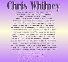 CHRIS WHITNEY by Dayonda