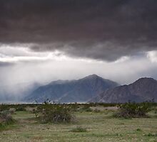 Flash Flood warning by Robert Whiteman