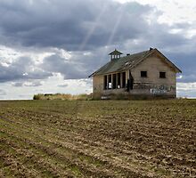 Rural Education by Milo Denison