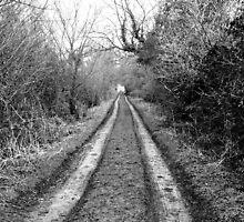 that road that never ends by Charlie Pallett