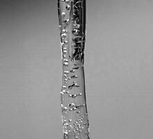 Ice Crystal - Macro by Corkle