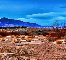 Mojave Desert Dawn by Herman Hodges
