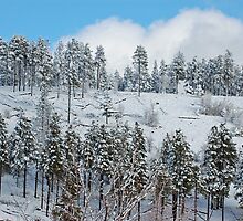 Blue Danube on the Powder by CowGirlZenPhoto