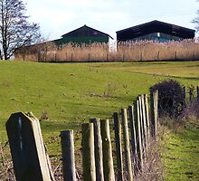 St David's Day down Gypsy Lane by artfulvistas