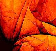 Orange.Overdose by smook