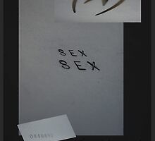 SEX the Book © by Vicki Ferrari