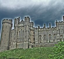 Arundel Castle by Dave Godden