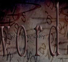 Words Are Only Words © Vicki Ferrari Photography by Vicki Ferrari