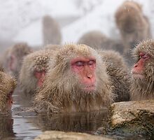 A hot soak by Anne Young