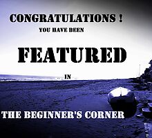 Challenge Banner Beginner's Corner by Berns