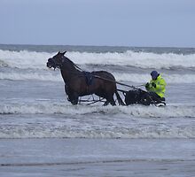 Sat Nav Failure by Gerry Temple