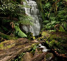 Westmoreland Falls by traveller