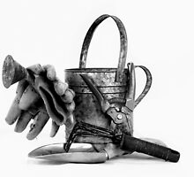 Garden tools on white by Jeffrey Sinnock